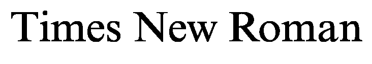 Times New Roman font image