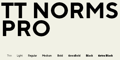 TT Norms Pro font in use