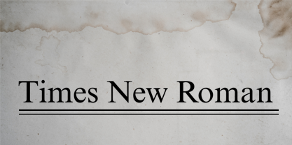 Times New Roman font in use