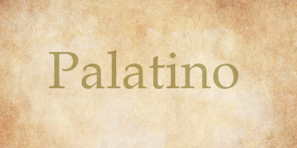 Palatino font in use