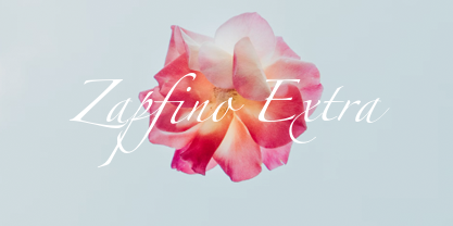 Zapfino Extra font in use