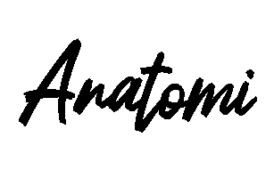 Anatomi font image